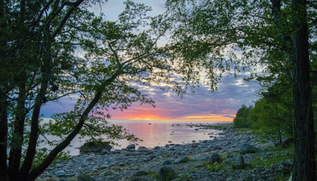 henrymurumaa-parispea-2385068