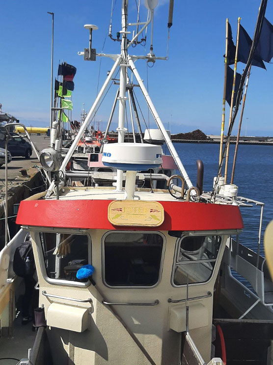 Pilot001_TestImage002