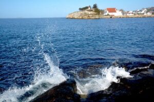 Pilot004_Image003 Pilot004_Image003