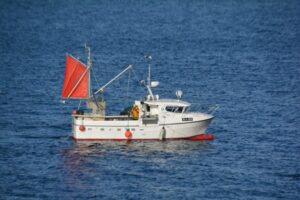 Pilot004_Image004 Pilot004_Image004