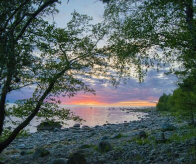 henrymurumaa-parispea-2385068